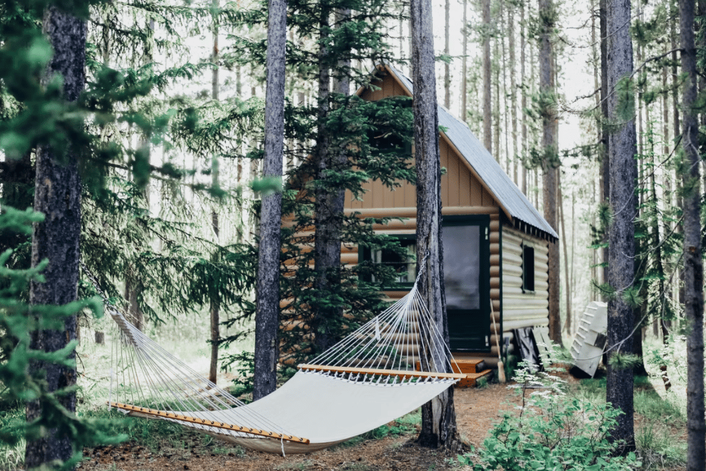 cottage in the woods